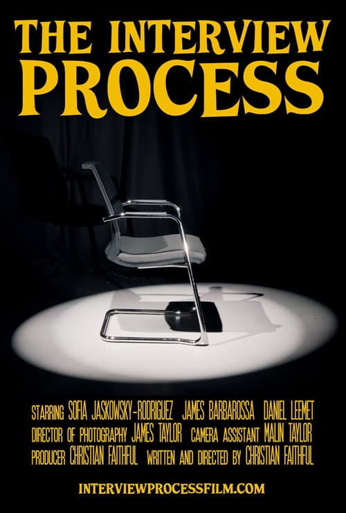 The Interview Process poster