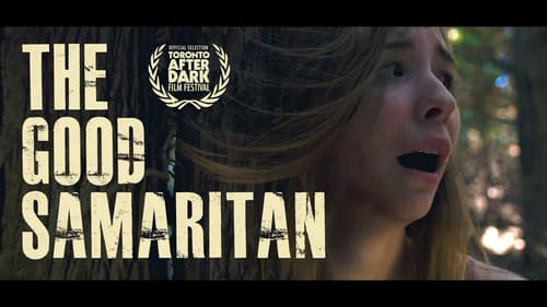 The Good Samaritan poster