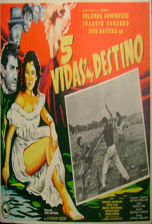 Five lives and one destiny poster