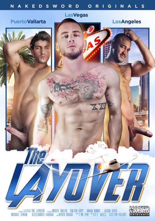 The Layover poster