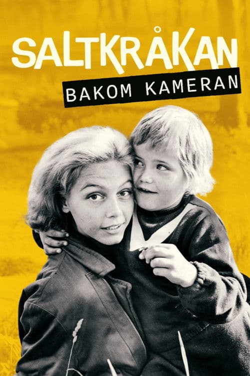 Saltkråkan - bakom kameran poster