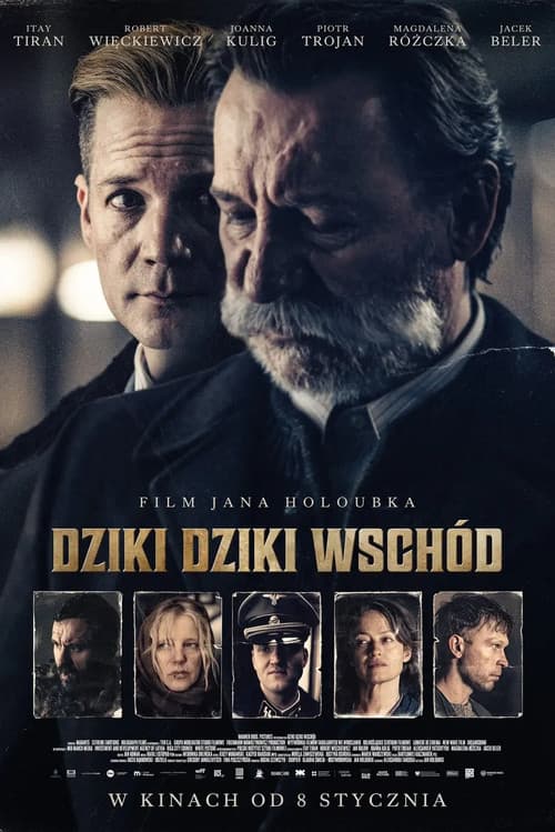 Wild Wild East poster