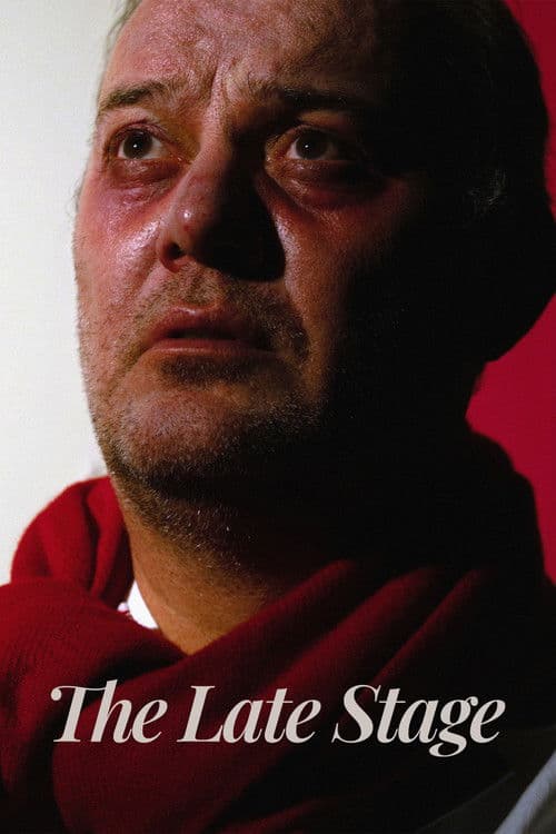 The Late Stage poster