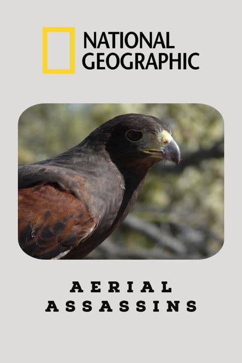 Aerial Assassins poster