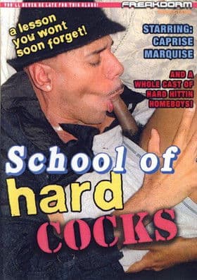 School of Hard Cocks poster