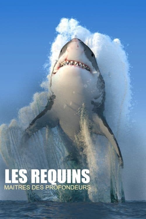 Les requins, maîtres des profondeurs poster