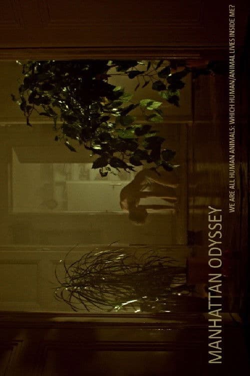 Manhattan Odyssey poster