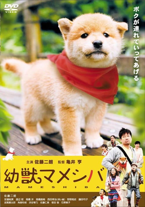 劇場版 幼獣マメシバ poster