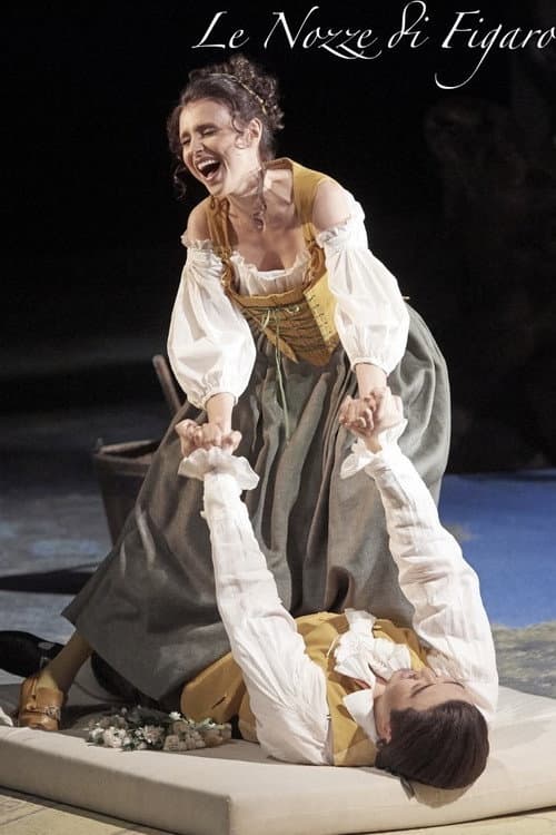 Le Nozze di Figaro - Wiener Staatsoper poster