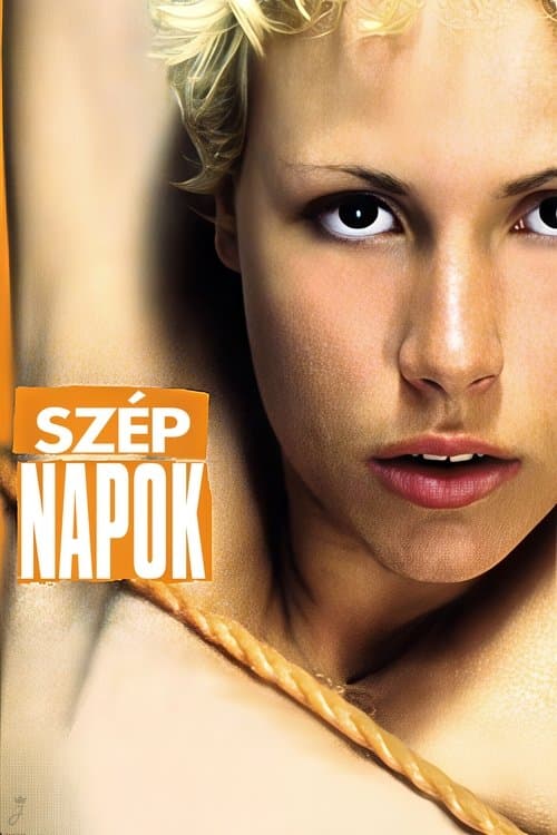 Pleasant Days poster