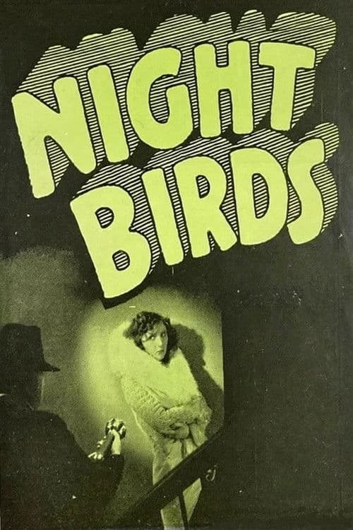 Night Birds poster