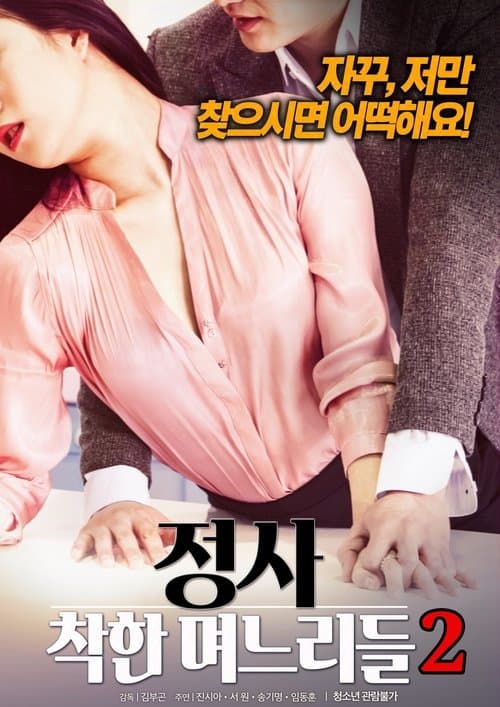 An Affair: Kind Daughters-in-law 2 poster