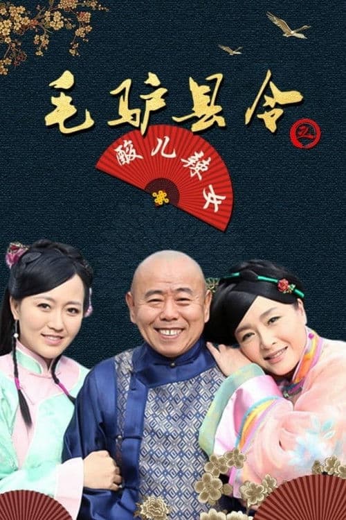 毛驴县令之酸儿辣女 poster