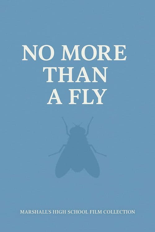 NO MORE THAN A FLY poster