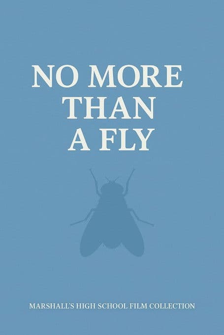 NO MORE THAN A FLY poster