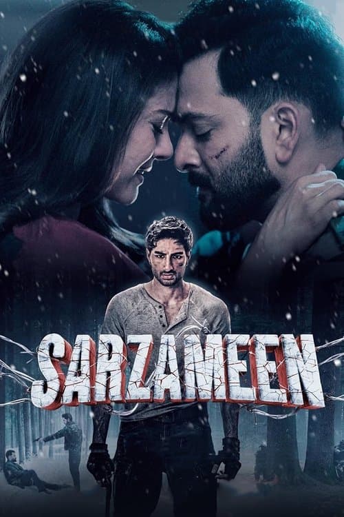 Sarzameen poster