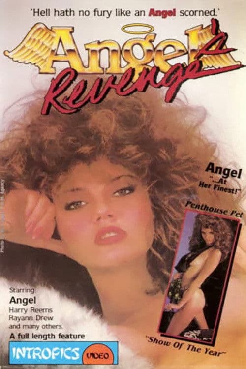 Angel's Revenge poster