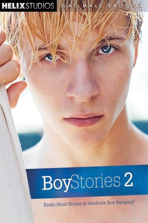 Boy Stories 2 poster