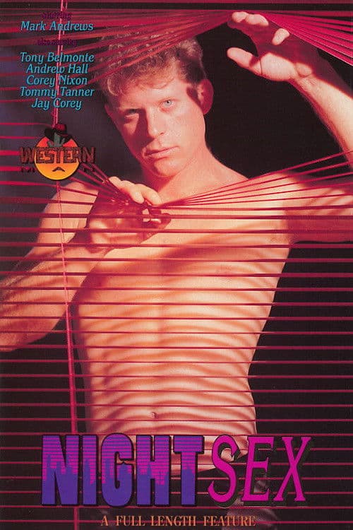 Night Sex: A Private Affair poster