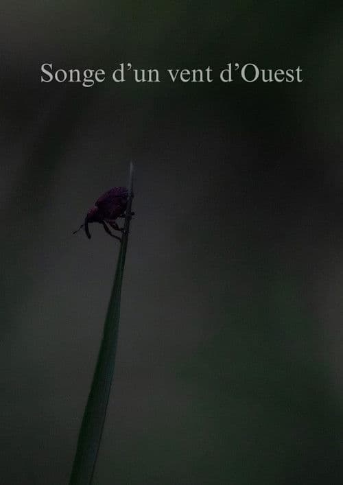Songe d'un vent d'Ouest poster