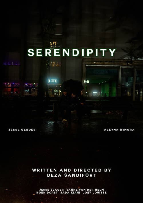 Serendipity poster