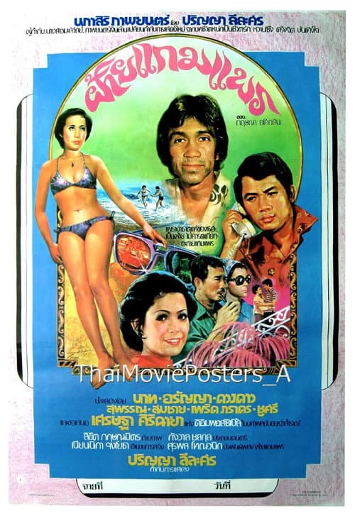 ฝ้ายแกมแพร poster