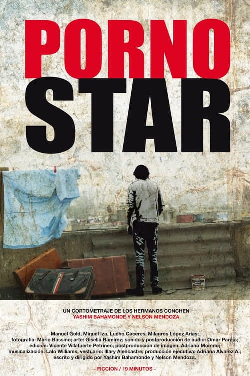 Porno Star poster