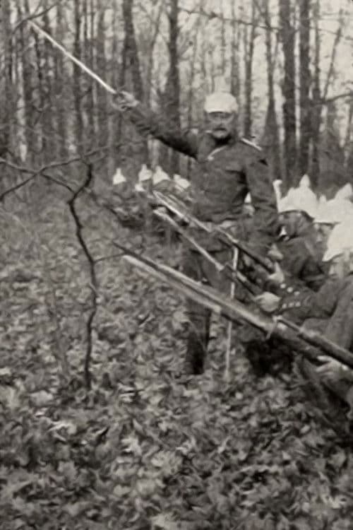 The Crimson Wing poster