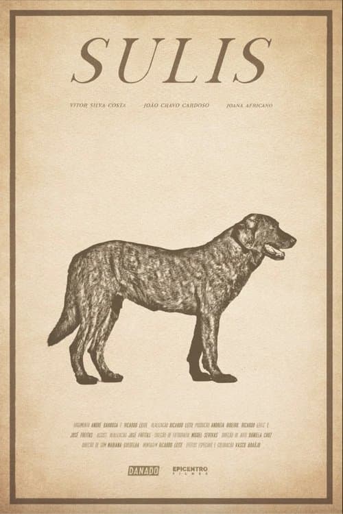 Sulis poster