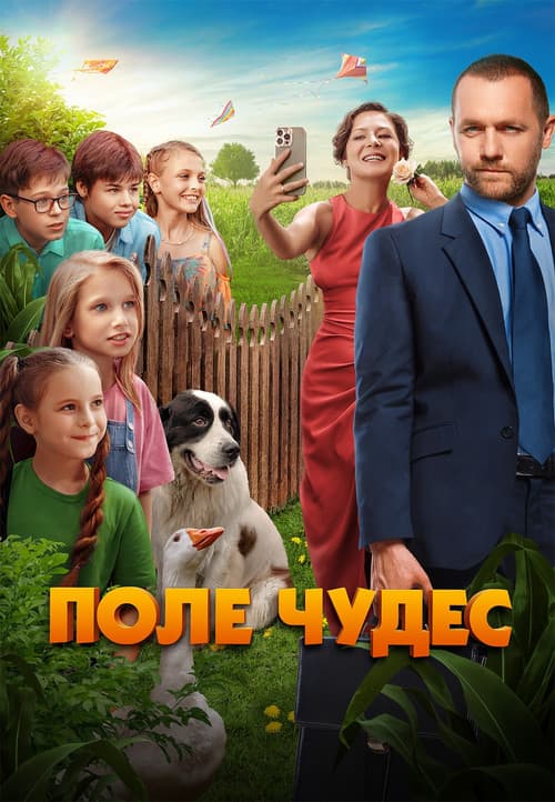 Field of Miracles poster