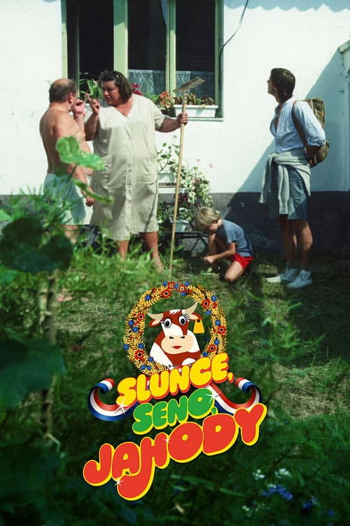 Sun, Hay, Berries poster