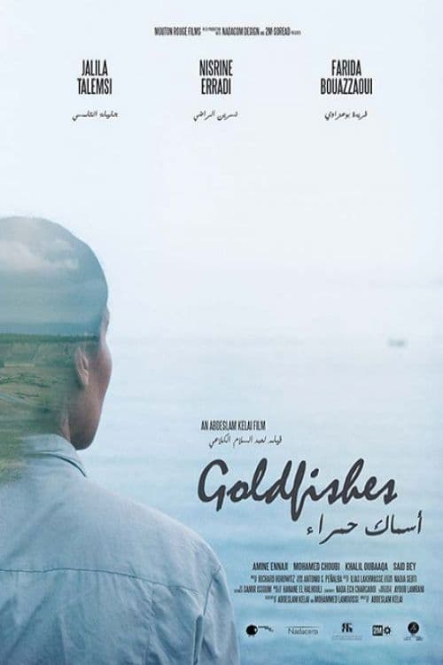 Goldfishes poster