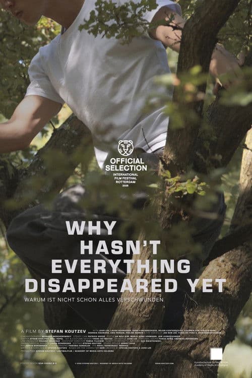 Why hasn't everything disappeared yet poster