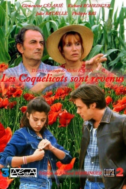 Les coquelicots sont revenus poster