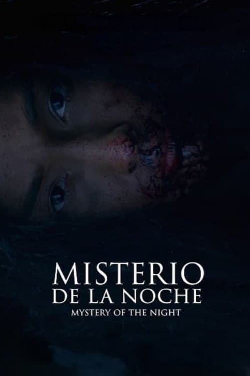 Mystery of the Night poster