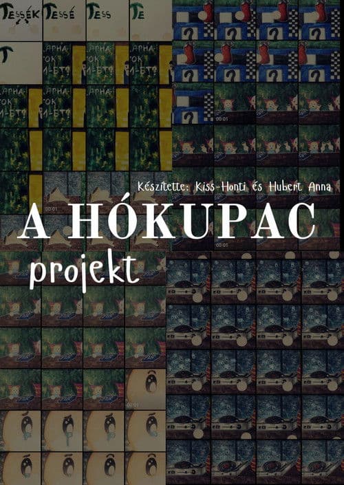 A HÓKUPAC projekt poster