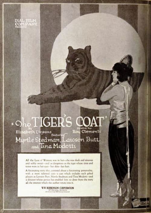 The Tiger's Coat poster