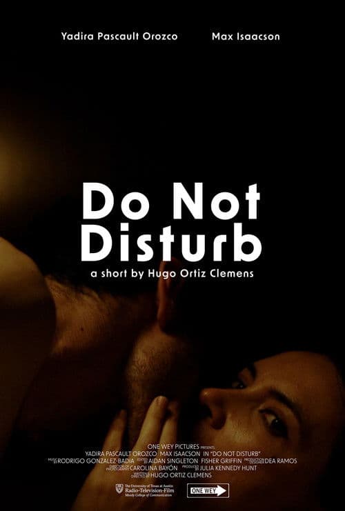 Do Not Disturb poster