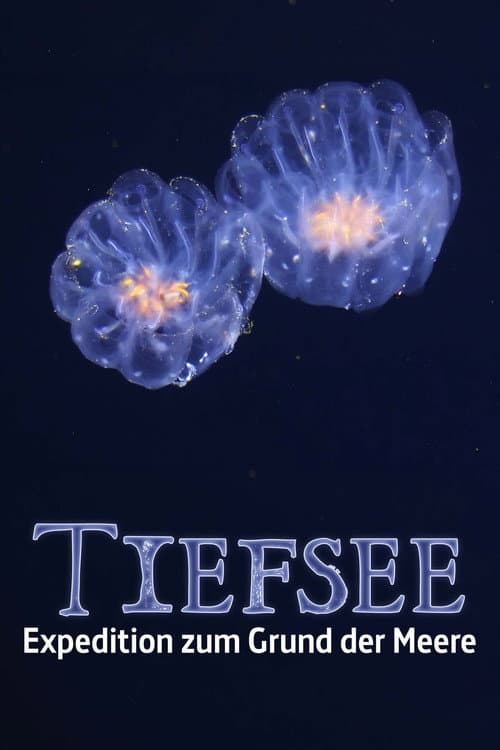 Faszination Tiefsee - Expedition zum Grund der Meere poster