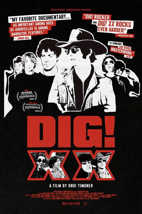 DIG! XX poster