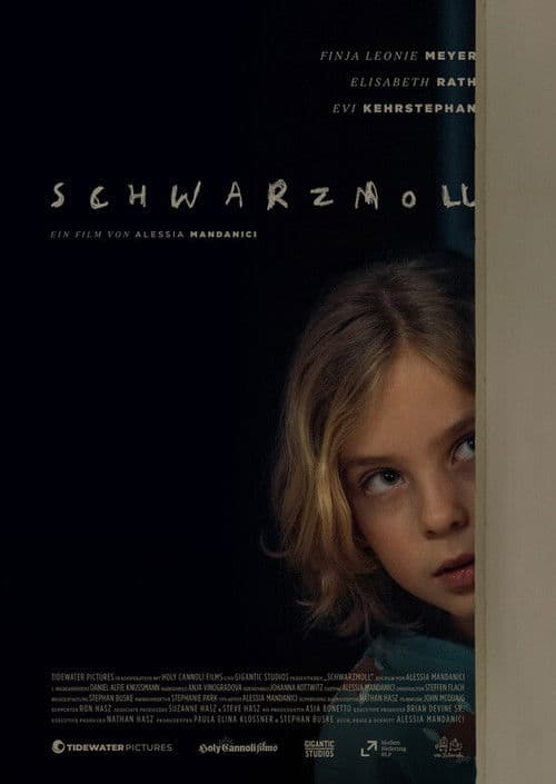 Schwarzmoll poster