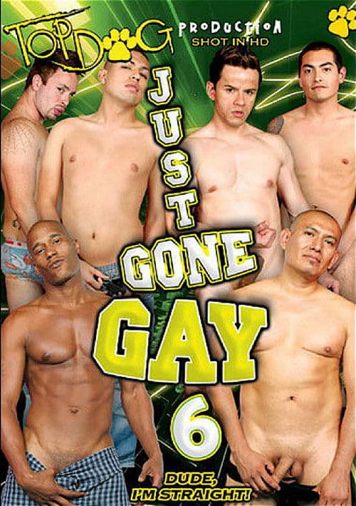 Just Gone Gay 6 poster