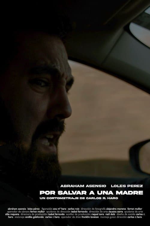 For Saving A Mother poster