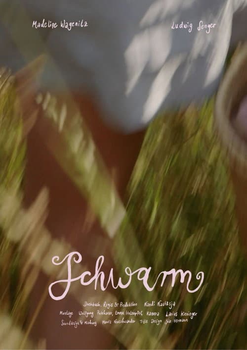 Schwarm poster
