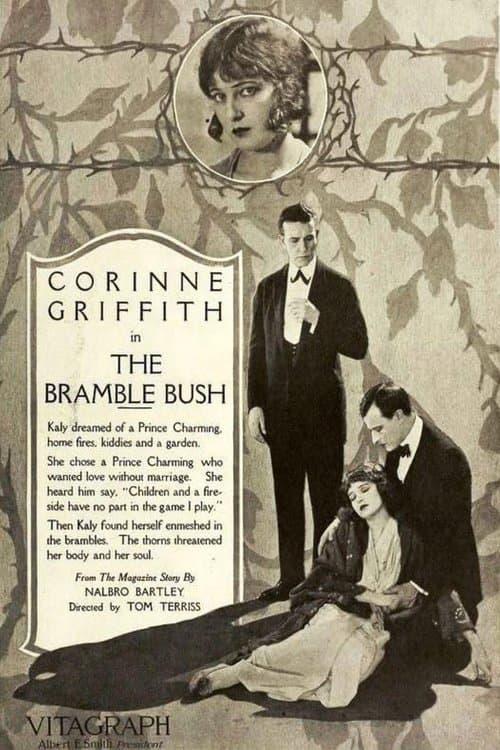The Bramble Bush poster
