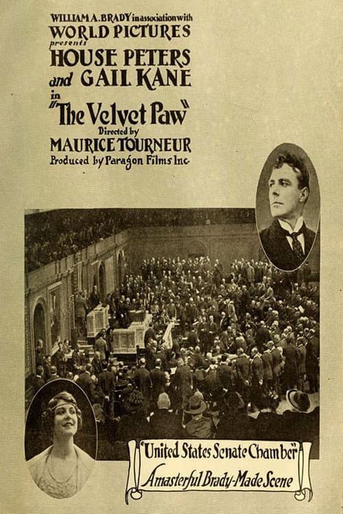 The Velvet Paw poster