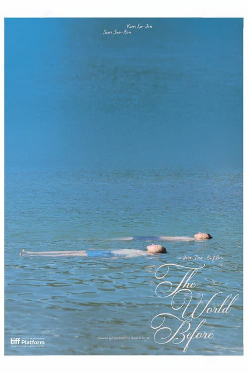 The World Before poster