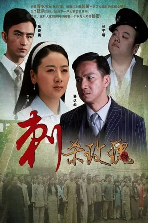 刺杀玫瑰 poster