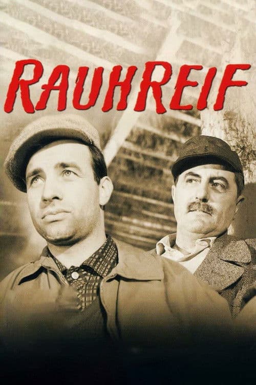 Rauhreif poster