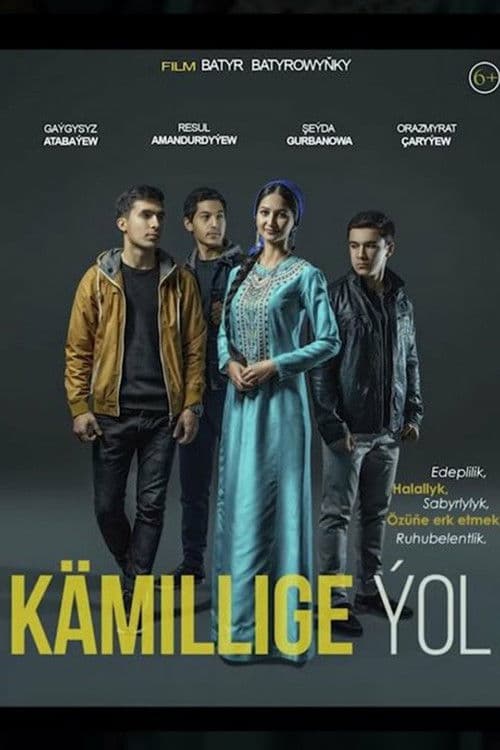 The Path to Perfection poster